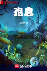 Bào tức