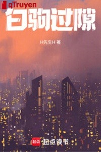 Bóng câu qua khe cửa