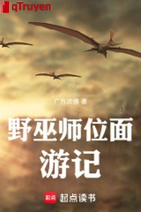 Dã vu sư vị diện du ký