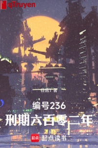 Đánh số 236: Thời hạn thi hành án 602 năm