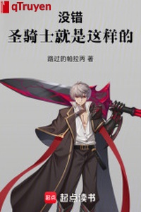 Không sai, Thánh kỵ sĩ chính là cái dạng này