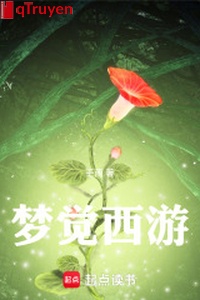 Mộng giác tây du
