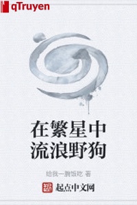 Ở đầy sao trung lưu lạc chó hoang