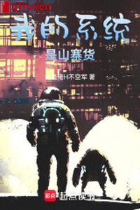 Ta hệ thống là hàng nhái