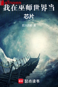 Ta ở vu sư thế giới đương chip