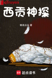 Tây cống thần thám