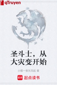 Thánh Đấu Sĩ, từ đại tai biến bắt đầu