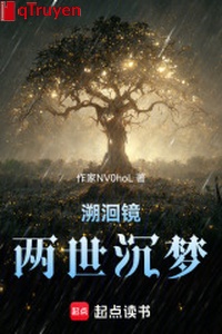 Tố hồi kính: Hai đời trầm mộng